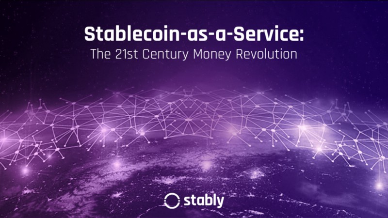 Stablecoin-as-a-Service: The 21st Century Money Revolution_Stably-01
